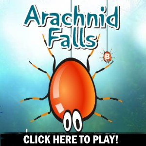 Arachnid Falls - Jogo de Aco 